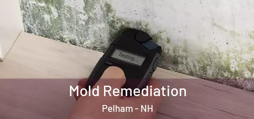  Mold Remediation Pelham - NH