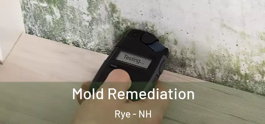  Mold Remediation Rye - NH