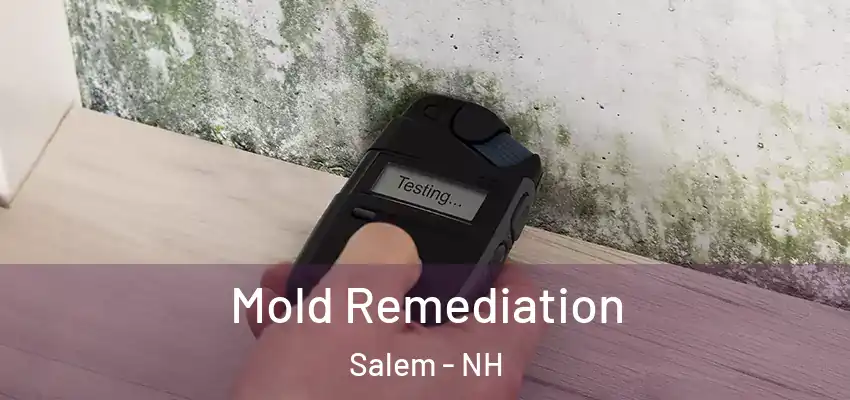  Mold Remediation Salem - NH