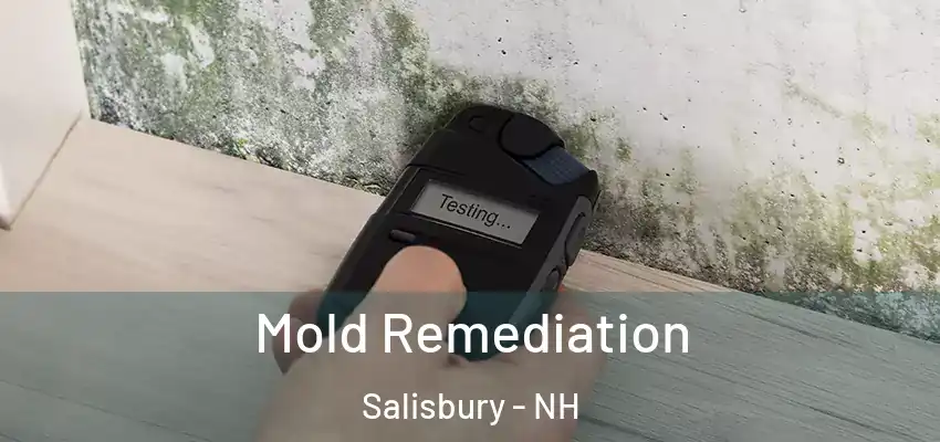  Mold Remediation Salisbury - NH