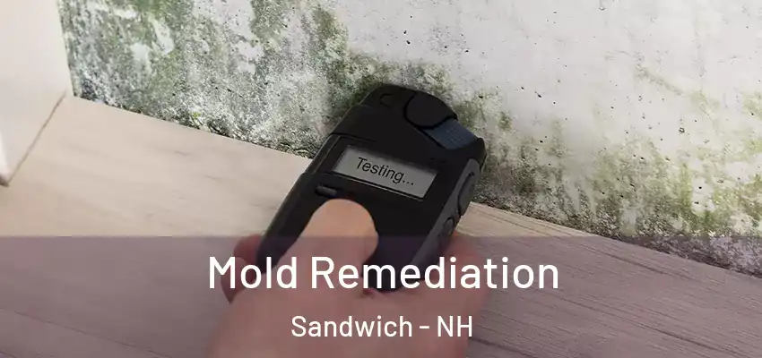 Mold Remediation Sandwich - NH