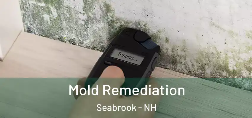  Mold Remediation Seabrook - NH
