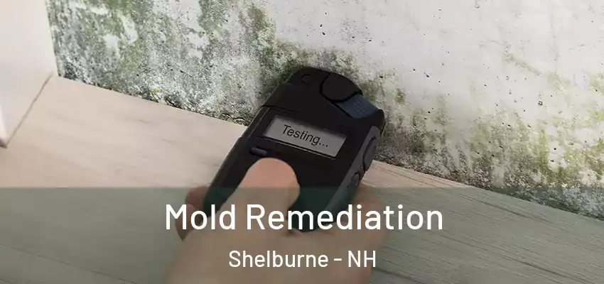 Mold Remediation Shelburne - NH