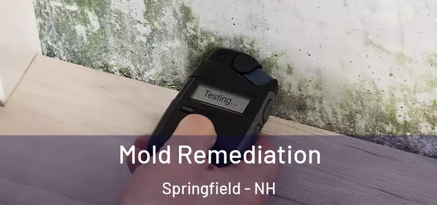 Mold Remediation Springfield - NH