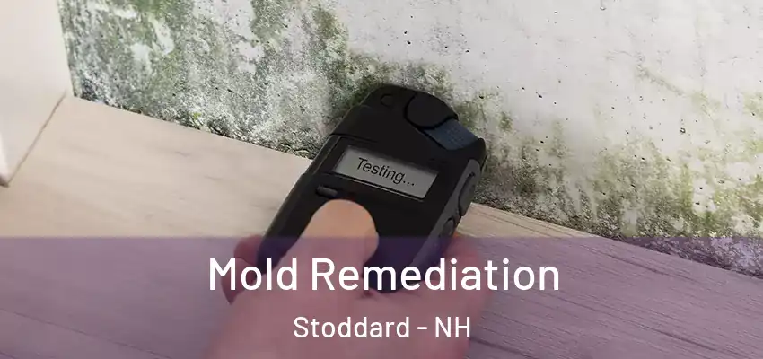  Mold Remediation Stoddard - NH