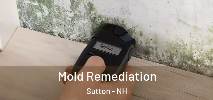  Mold Remediation Sutton - NH