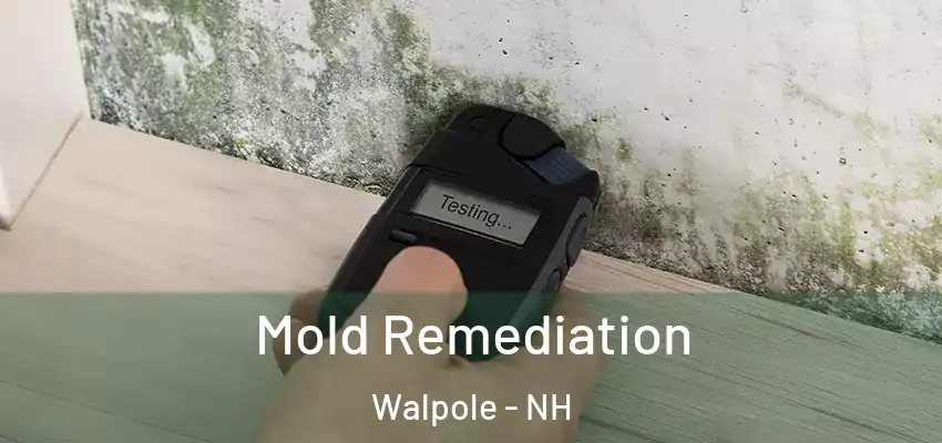  Mold Remediation Walpole - NH