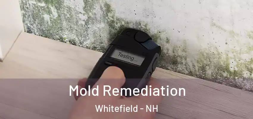 Mold Remediation Whitefield - NH