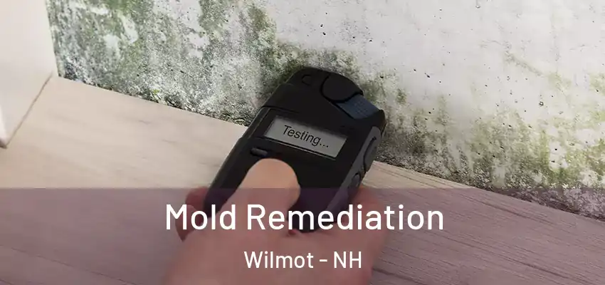  Mold Remediation Wilmot - NH