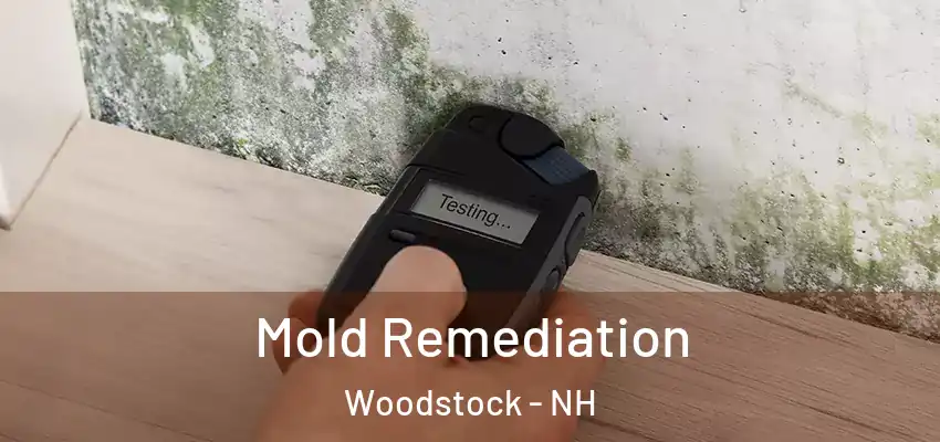 Mold Remediation Woodstock - NH