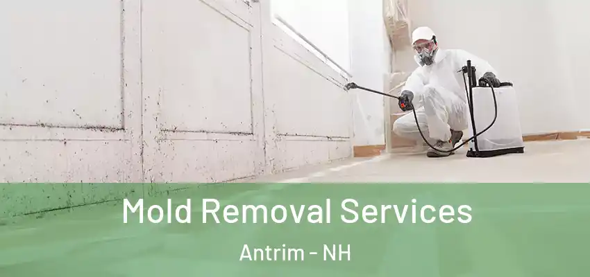  Mold Removal Services Antrim - NH