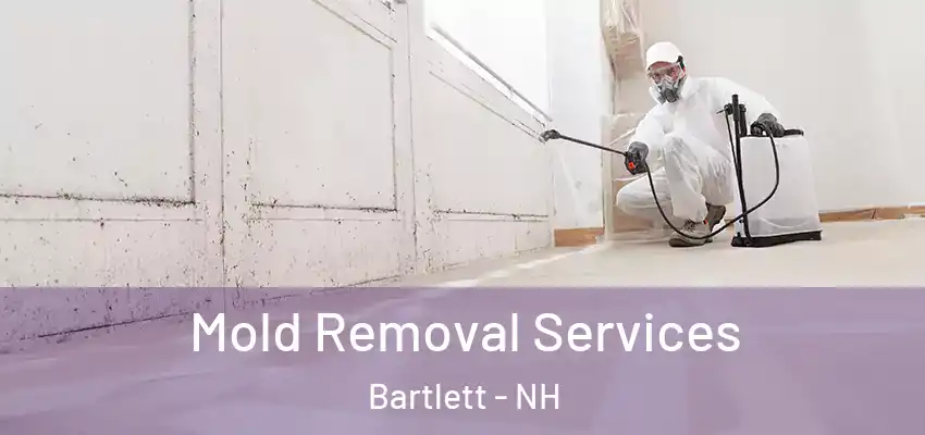  Mold Removal Services Bartlett - NH