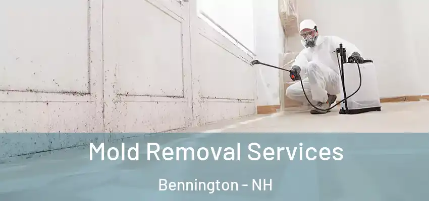  Mold Removal Services Bennington - NH