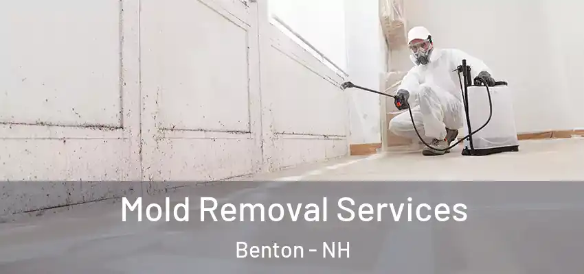 Mold Removal Services Benton - NH