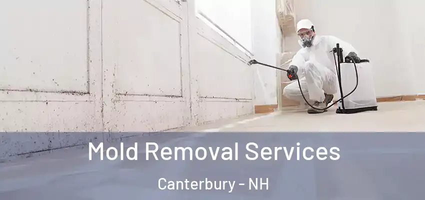  Mold Removal Services Canterbury - NH