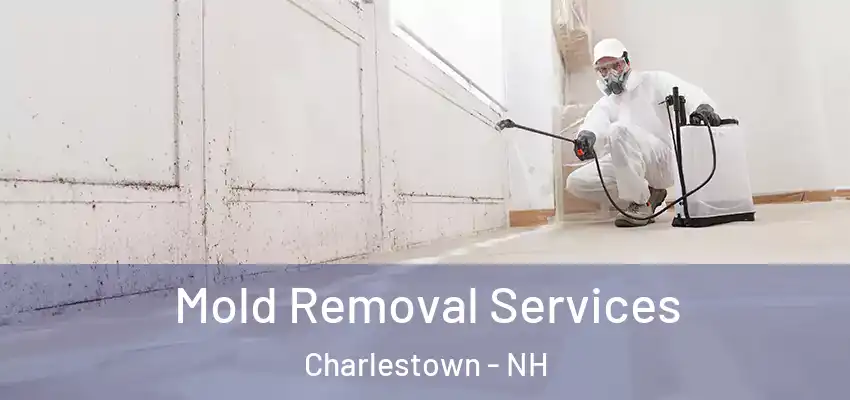 Mold Removal Services Charlestown - NH
