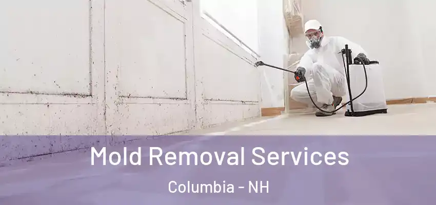 Mold Removal Services Columbia - NH