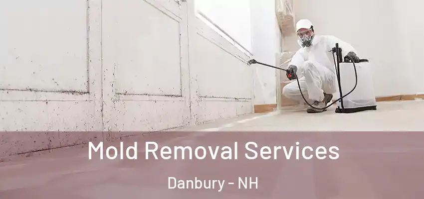 Mold Removal Services Danbury - NH
