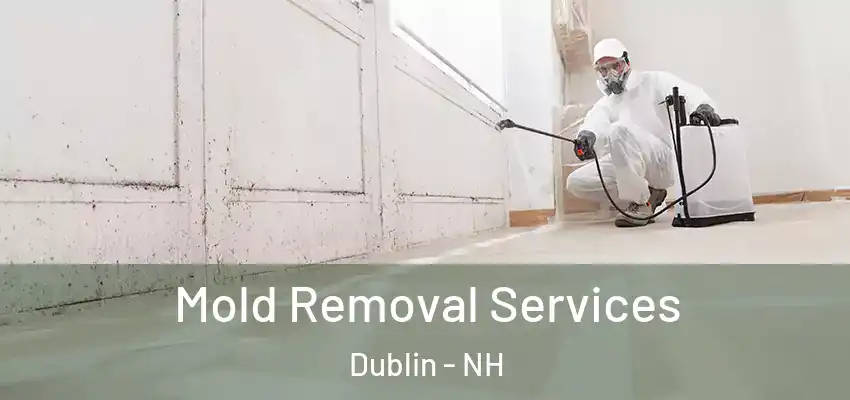  Mold Removal Services Dublin - NH