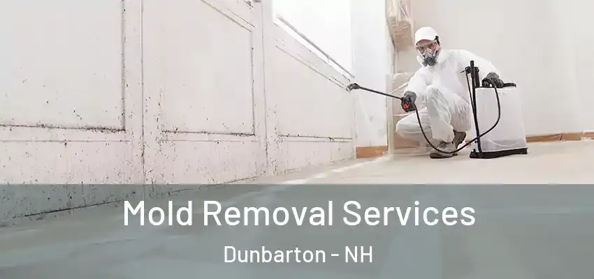  Mold Removal Services Dunbarton - NH