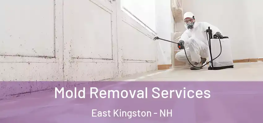  Mold Removal Services East Kingston - NH
