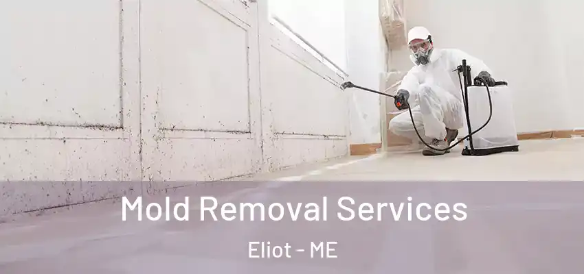  Mold Removal Services Eliot - ME