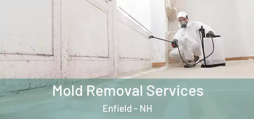Mold Removal Services Enfield - NH