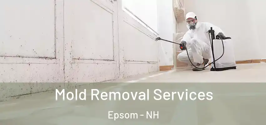  Mold Removal Services Epsom - NH