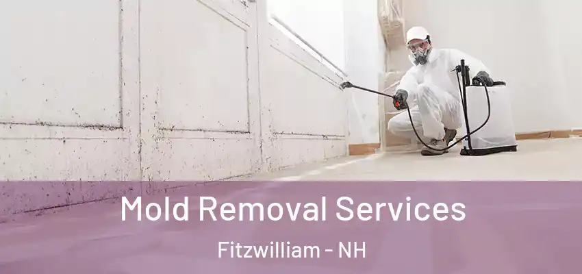  Mold Removal Services Fitzwilliam - NH
