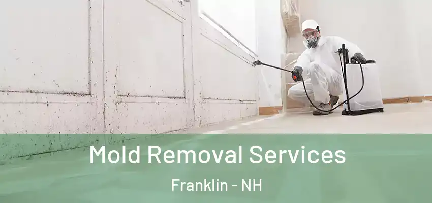  Mold Removal Services Franklin - NH
