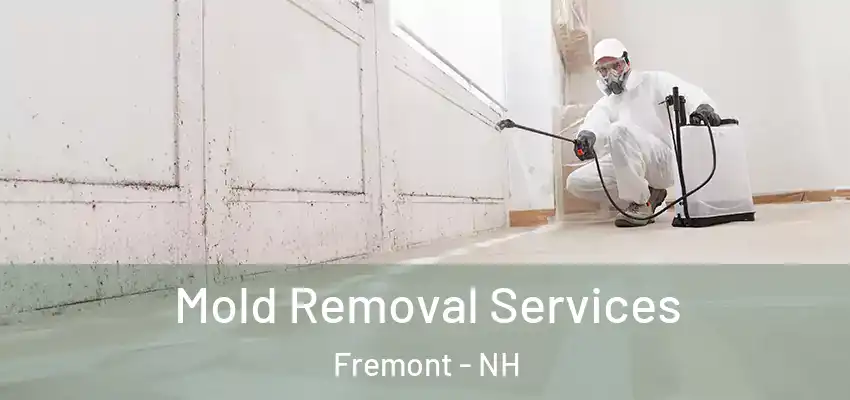  Mold Removal Services Fremont - NH