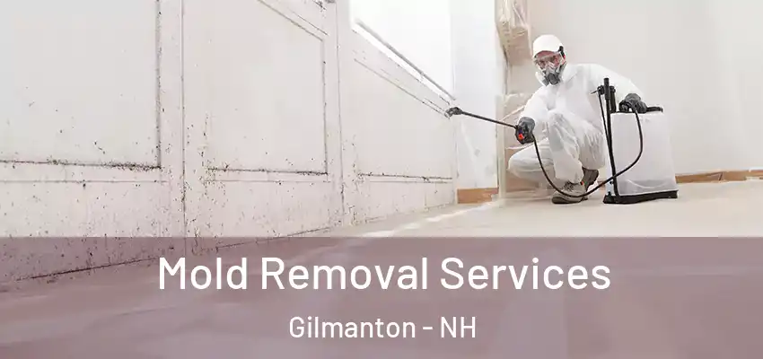  Mold Removal Services Gilmanton - NH