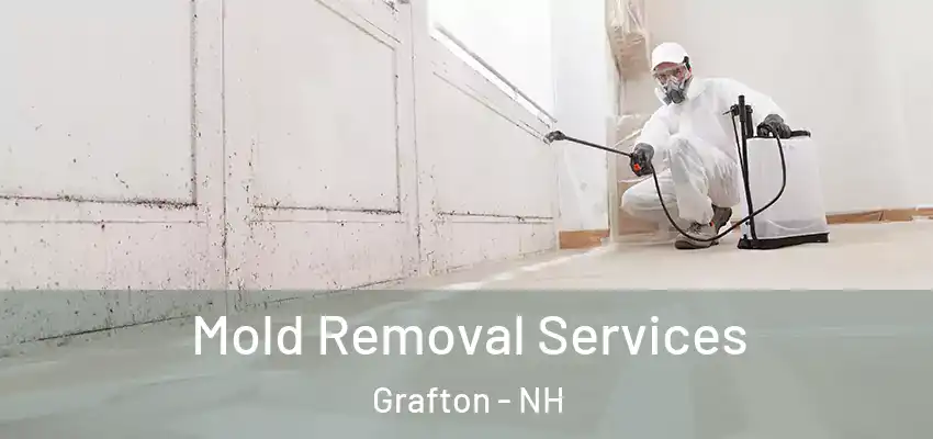 Mold Removal Services Grafton - NH
