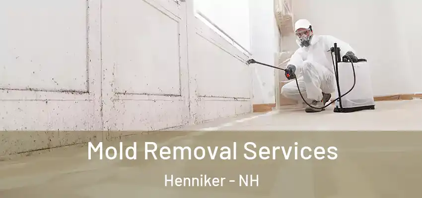 Mold Removal Services Henniker - NH