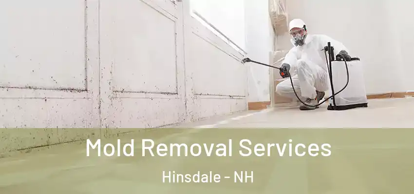  Mold Removal Services Hinsdale - NH