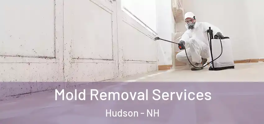  Mold Removal Services Hudson - NH