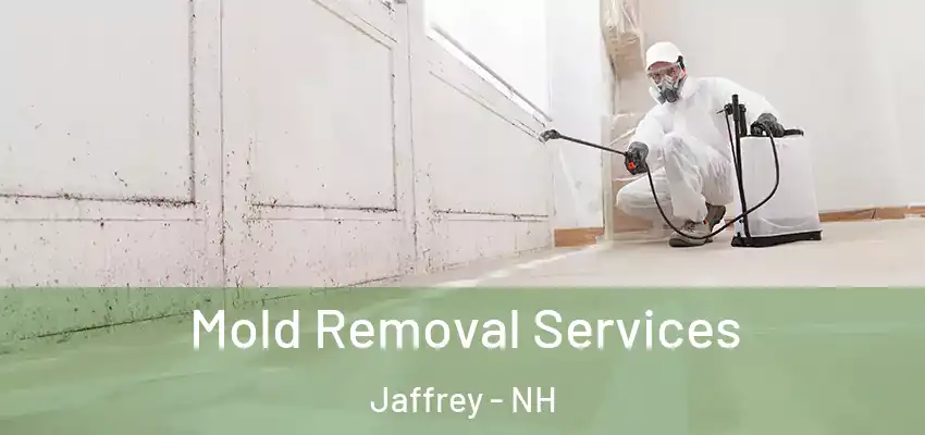  Mold Removal Services Jaffrey - NH