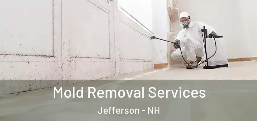 Mold Removal Services Jefferson - NH