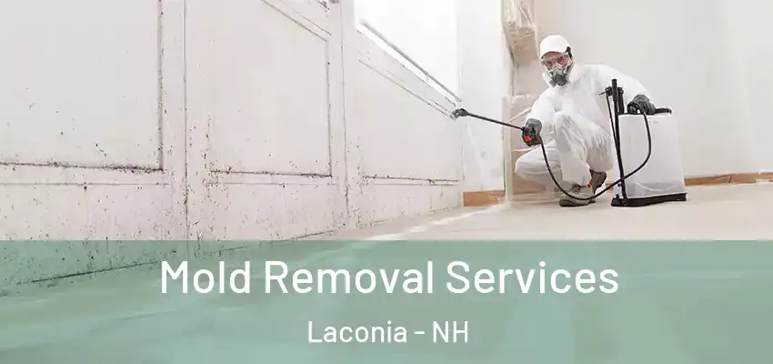 Mold Removal Services Laconia - NH