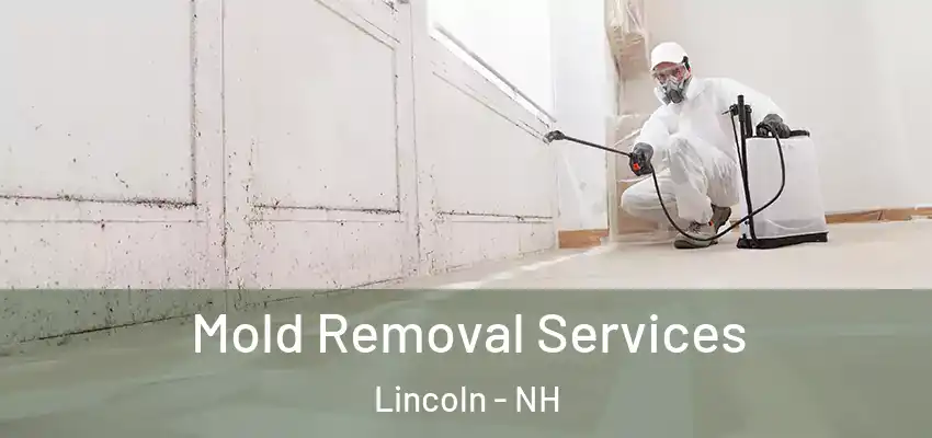  Mold Removal Services Lincoln - NH