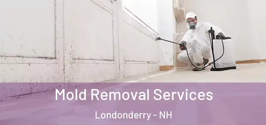  Mold Removal Services Londonderry - NH