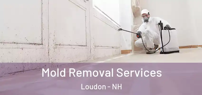  Mold Removal Services Loudon - NH