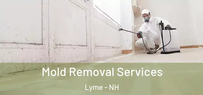 Mold Removal Services Lyme - NH