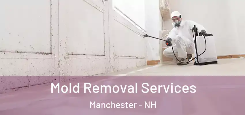 Mold Removal Services Manchester - NH