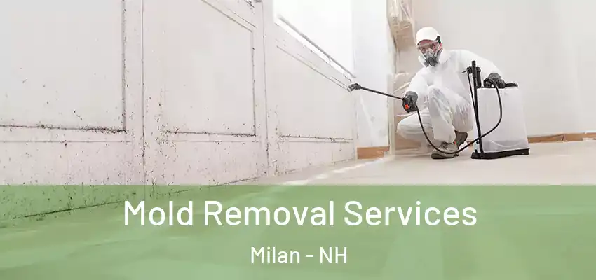 Mold Removal Services Milan - NH