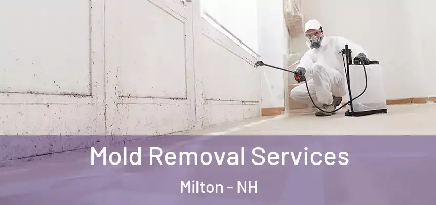  Mold Removal Services Milton - NH