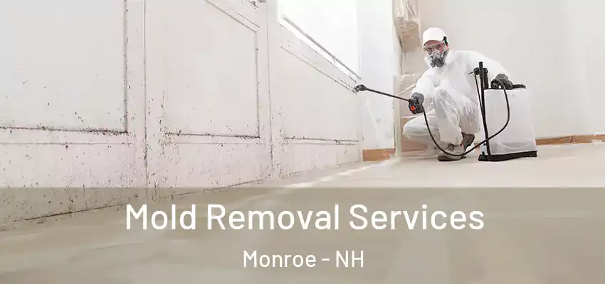 Mold Removal Services Monroe - NH