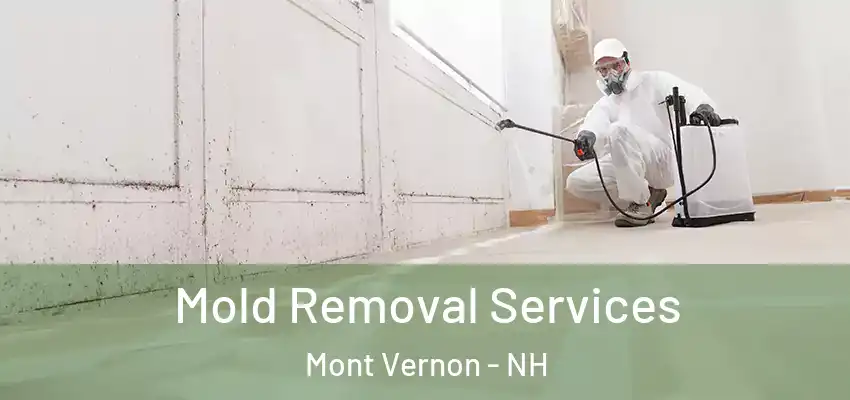  Mold Removal Services Mont Vernon - NH