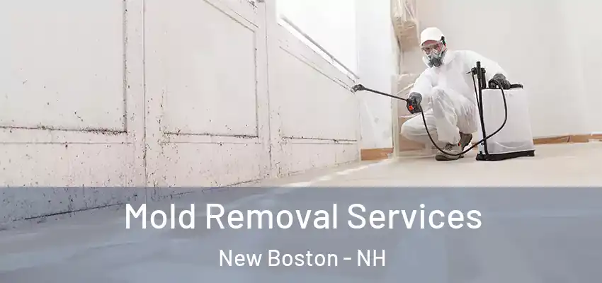  Mold Removal Services New Boston - NH