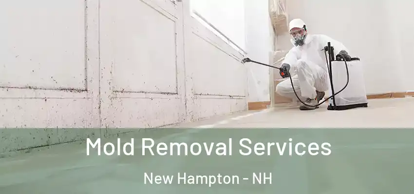 Mold Removal Services New Hampton - NH